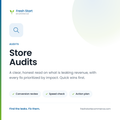 Store Audits